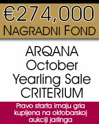 arqana
