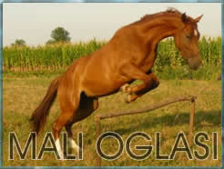 mali oglasi