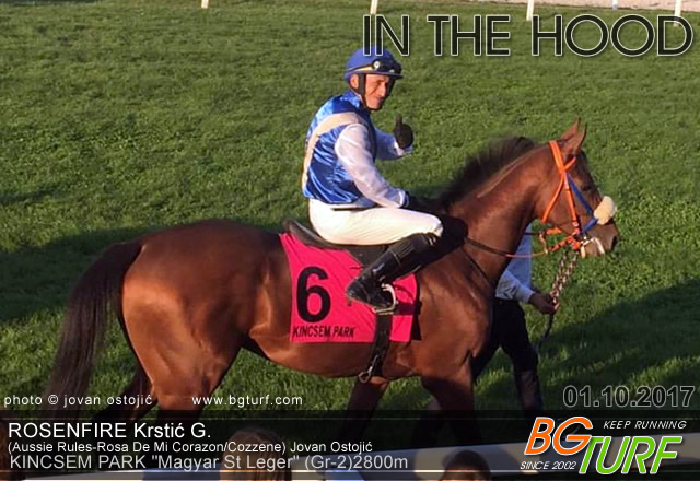 bgturf st leger magyar