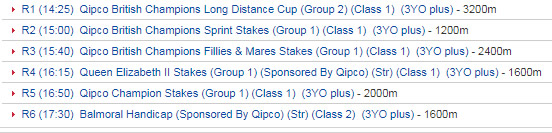 bgturf champion stakes