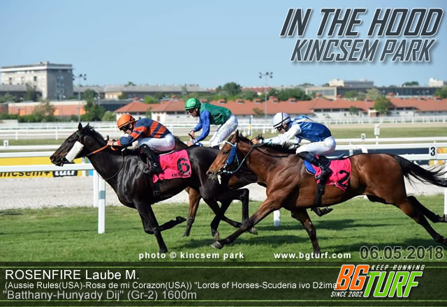 bgturf kincsem park