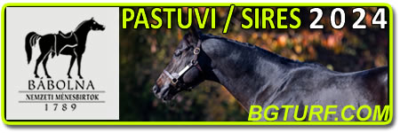 bgturf babolna pastuv pastuvi stallions stallion sire stud