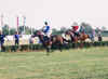 PodTrialStakes_finish27_660.jpg (38089 bytes)