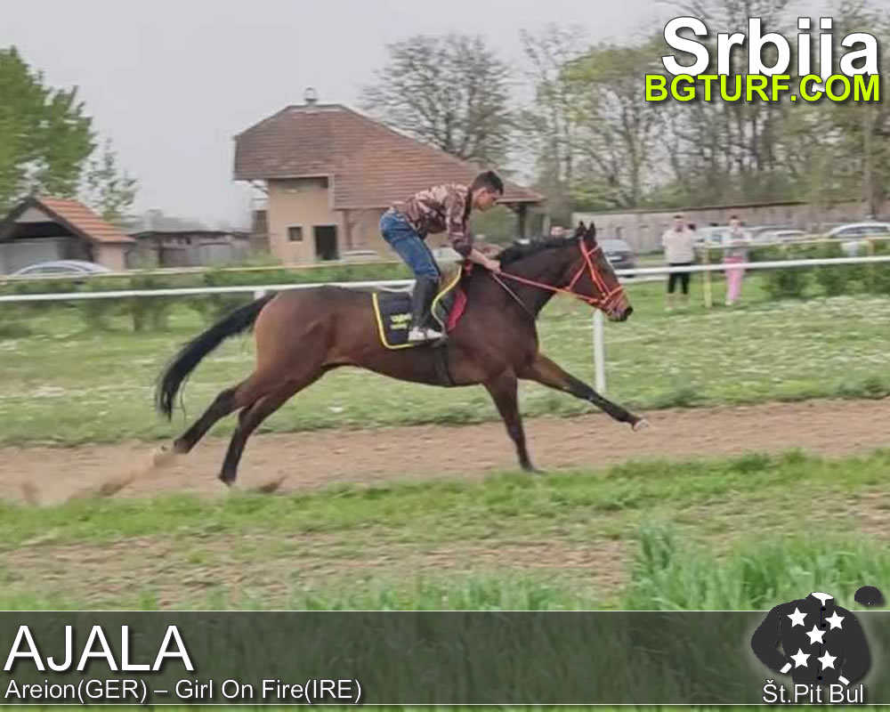 bgturf trening srbija
