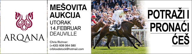 arqana 640