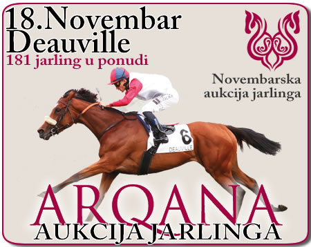 bgturf arqana