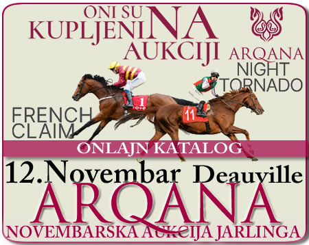 bgturf arqana