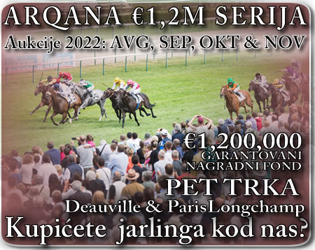 bgturf arqana