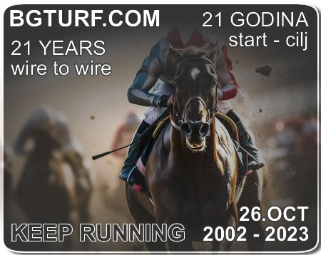 bgturf arqana