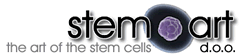 stem art